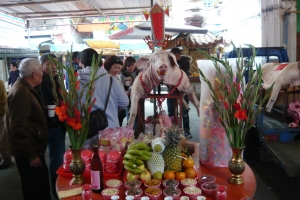 景美集應廟豬公祭典(一)