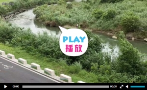 萬盛溪追憶和維護認養