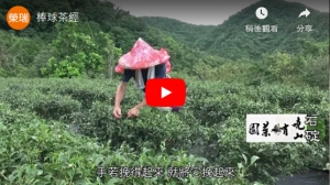 棒球茶經