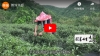 棒球茶經