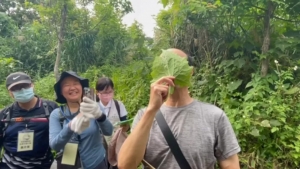 文山志工 清除綠癌