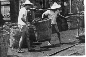 Coal Mining in Wenshan District