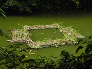 木柵公園的人工浮島